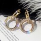 New design creative jewelry high-grade elegant crystal earrings round Gold and silver earrings wedding party earrings for woman