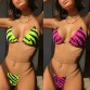 Sexy micro bikinis 2019 mujer Triangle bikini set Brazilian swimsuit female bathers High cut swimwear women Summer bathing suit